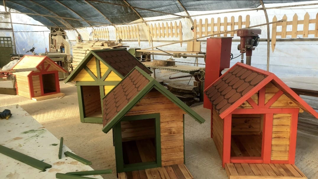 001 köpek klübeleri